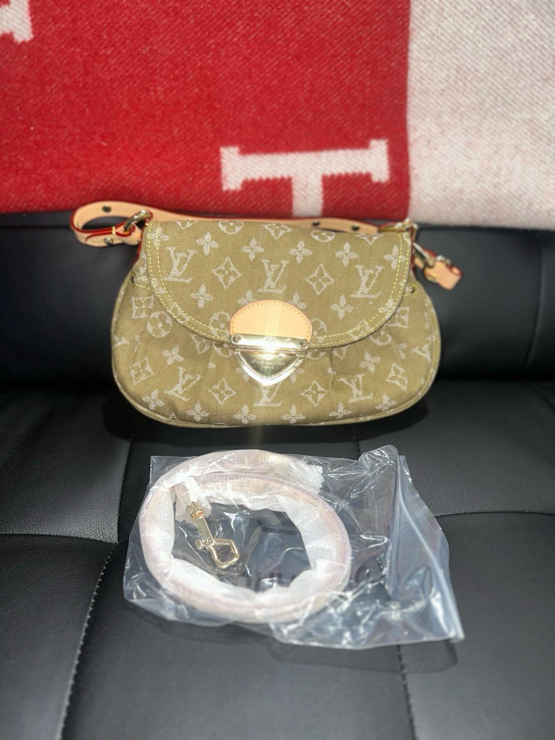 Louis Vuitton Bag