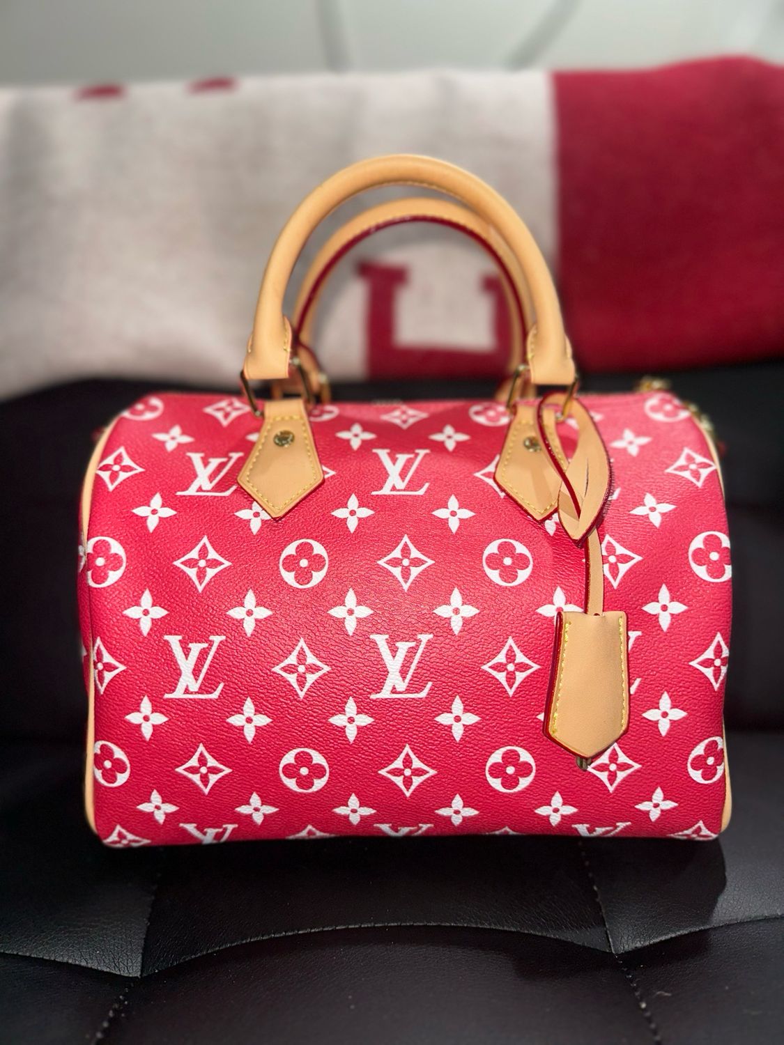 Louis Vuitton Bag