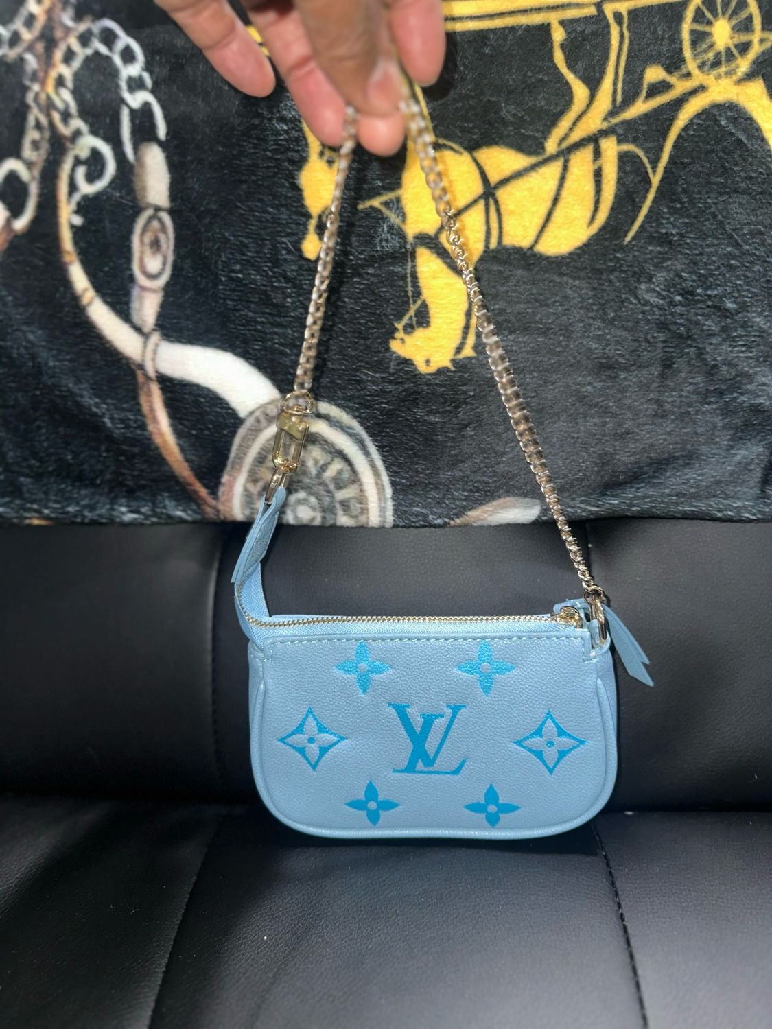 Louis Vuitton Wallet/bag