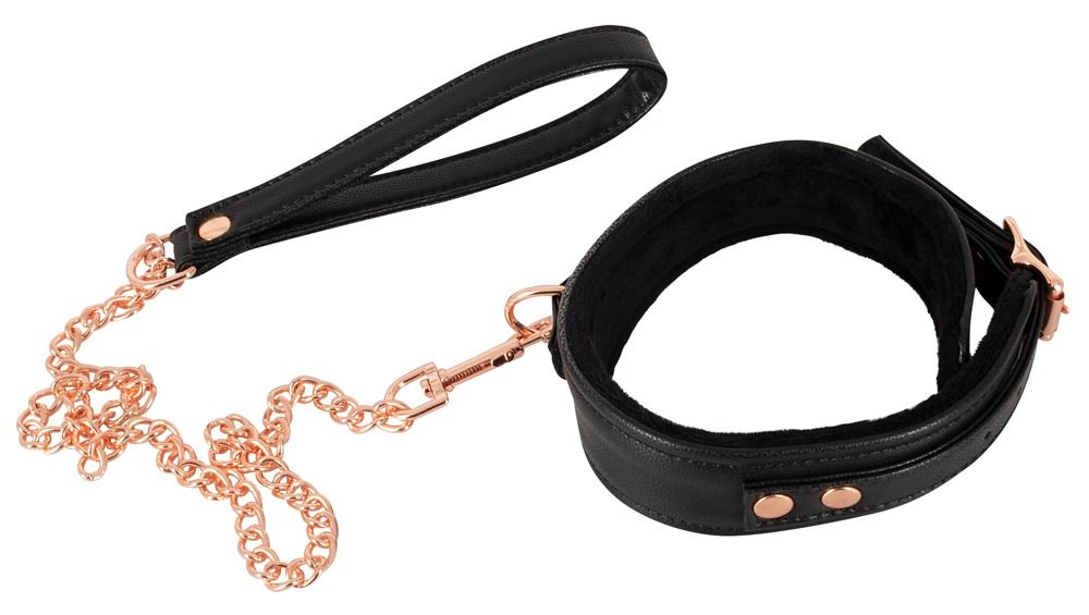 Collar with Leash