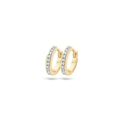 Blush Oorbellen 7129BZI - Geel en Wit Goud (14Krt.) met Zirconia