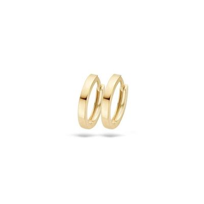 Blush Oorknoppen 7202YGO - Goud (14Krt.)
