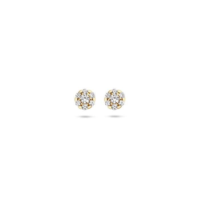 Blush Oorbellen 7241YZI - Geel Goud (14Krt.) met Zirconia