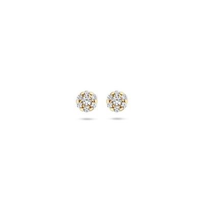 Blush Oorbellen 7241YZI - Geel Goud (14Krt.) met Zirconia Blush Oorbellen 7241YZI - Geel Goud (14Krt.) met Zirconia