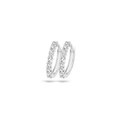 Blush Oorbellen 7166WZI - Wit Goud (14Krt.) met Zirconia