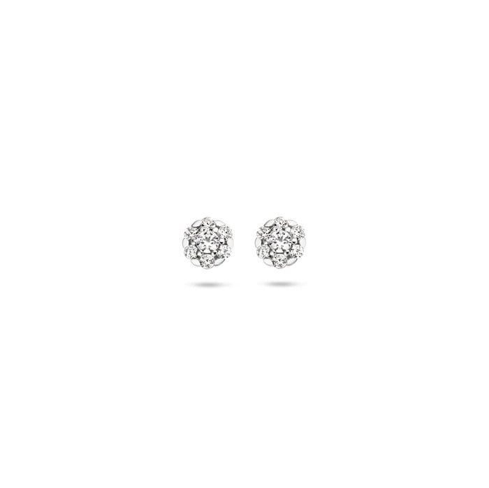 Blush Oorbellen 7241WZI - Wit Goud (14Krt.) met Zirconia