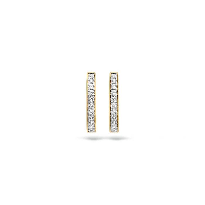 Blush Oorbellen 7163BZI - Geel en Wit Goud (14Krt.) met Zirconia