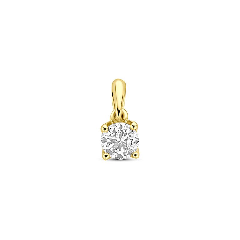 Facette - Hanger 14kt - 0,25ct