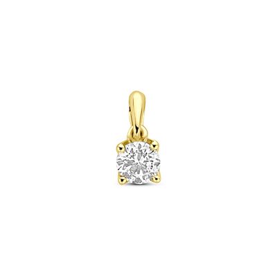 Facette - Hanger 14kt - 0,25ct