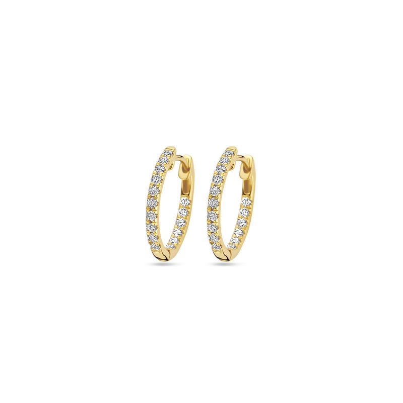 Facette - 14kt - Creool 0,46ct