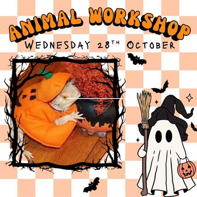 Animal Encounters - October Half Term - Weds 28th Oct