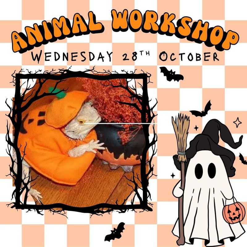 Animal workshop Wednesday 28th October 12pm