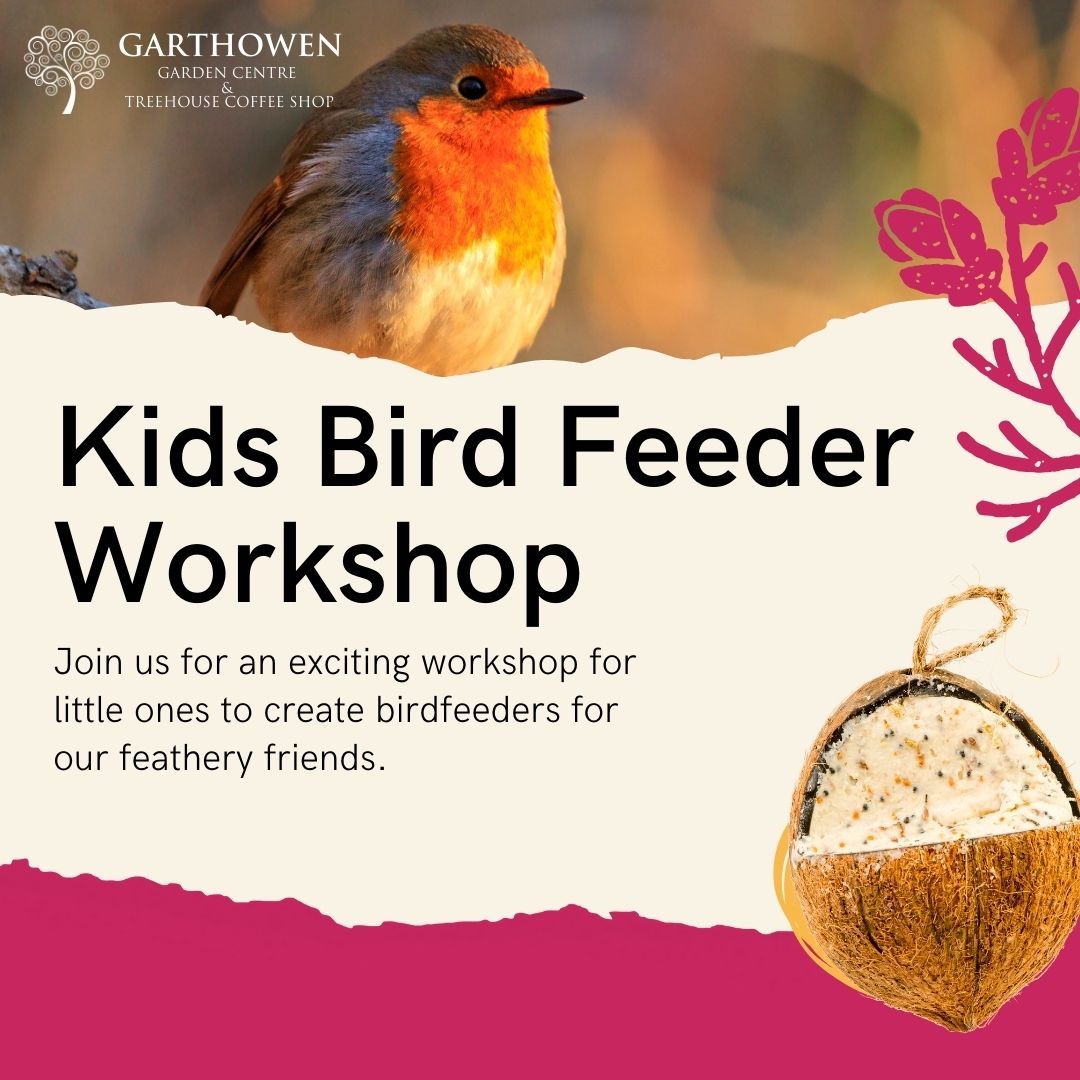 Childrens Bird Feeders and Nature art Workshop Friday 20th February 11am