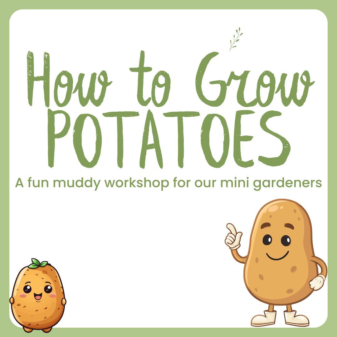 Childrens Potato Growing Workshop Wednesday 18th February 2pm
