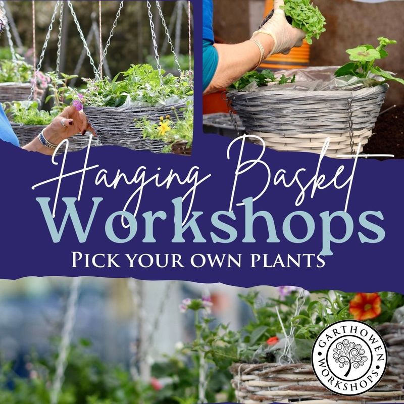 Hanging Basket Workshop - Wednesday 6th May at 6:30pm