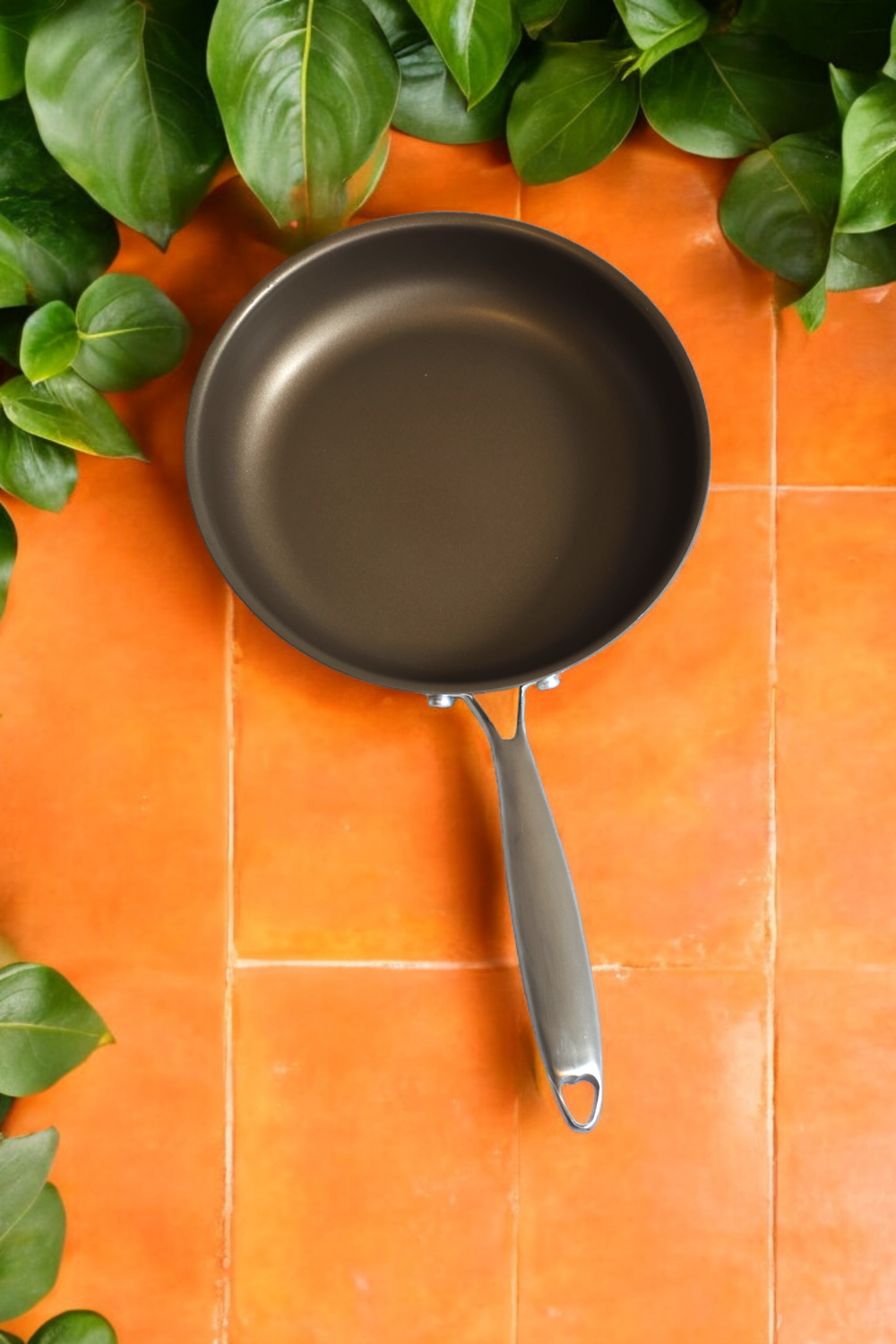 Ales Titanium Coated 28cm Frying Pan