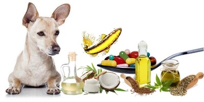 SUPPLEMENTEN