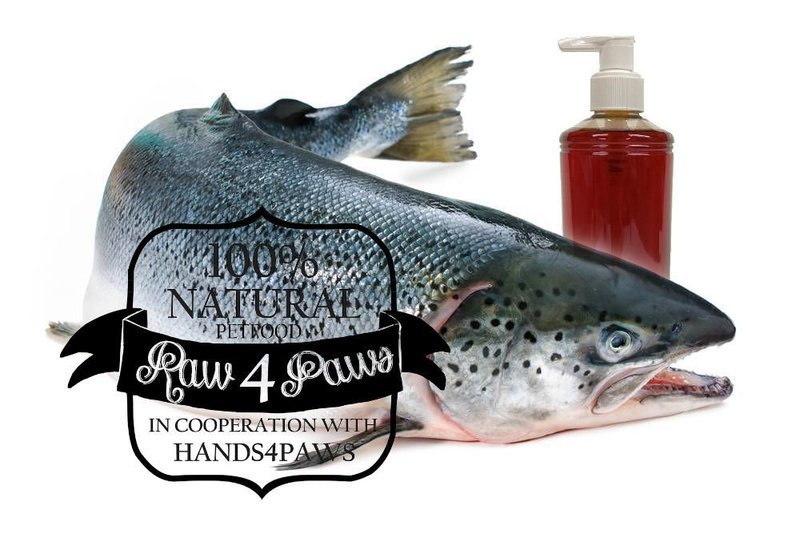 RAW4PAWS Zalmolie 500ML