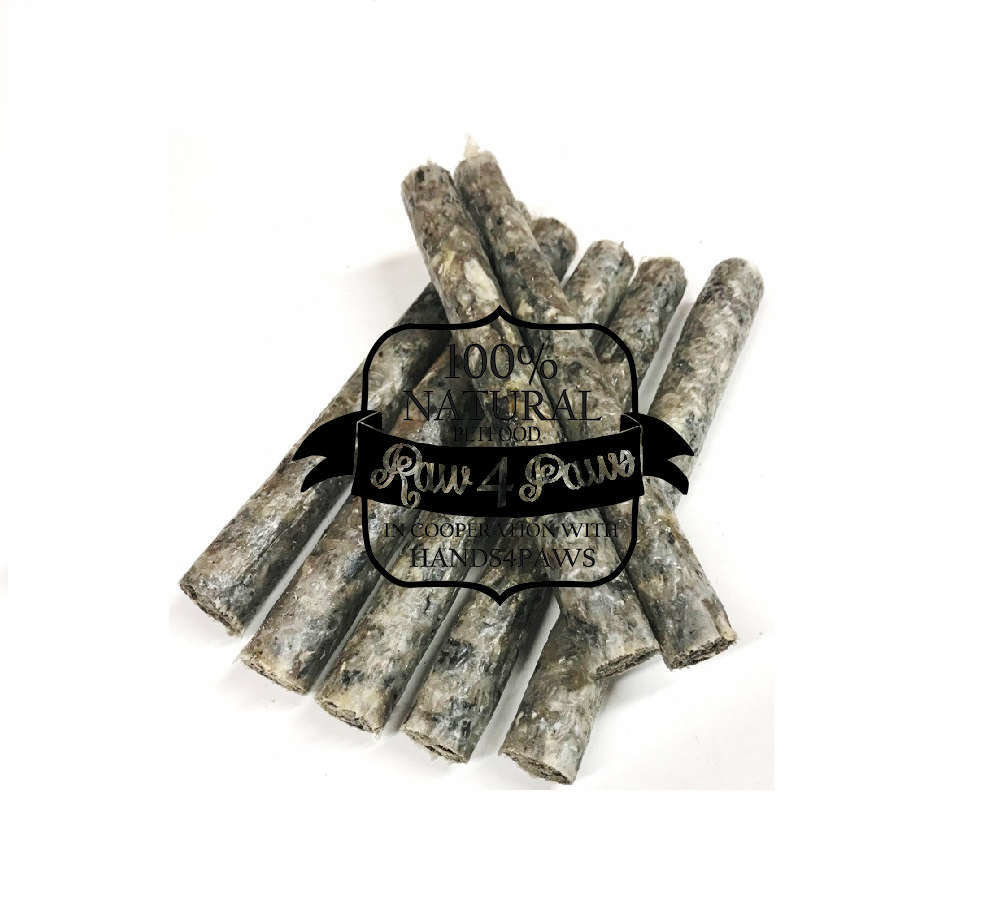 RAW4PAWS Zalmstixx ( per 4 verpakt)