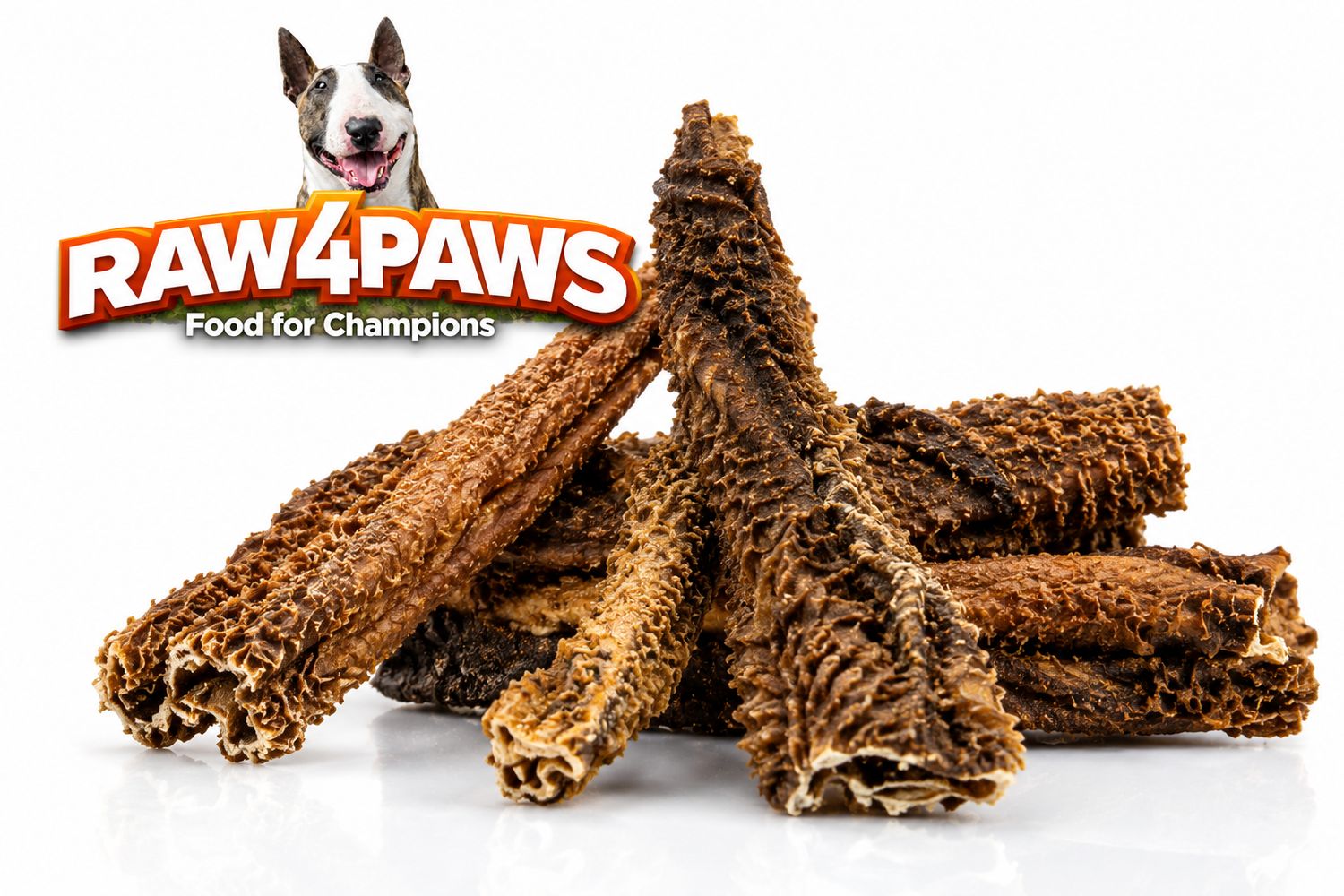 RAW4PAWS LAMPENS 100GR