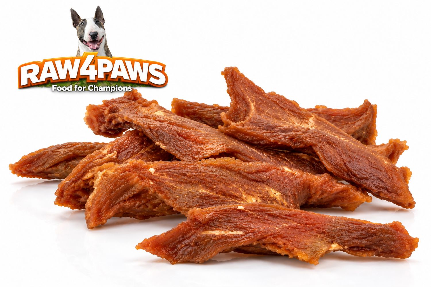 RAW4PAWS GEDROOGDE KIPFILET NATUUR 100GR