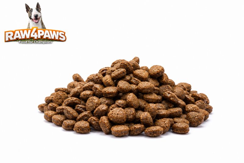 RAW4PAWS SALMON &amp; VEGGIES 