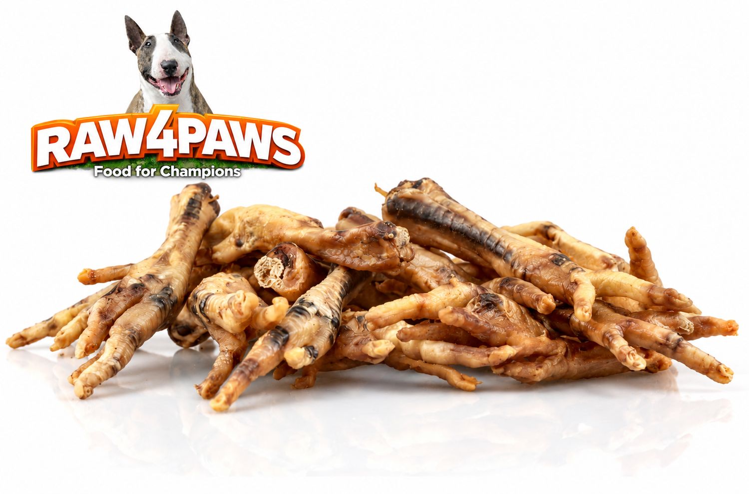 RAW4PAWS KIPPENPOTEN NATUREL