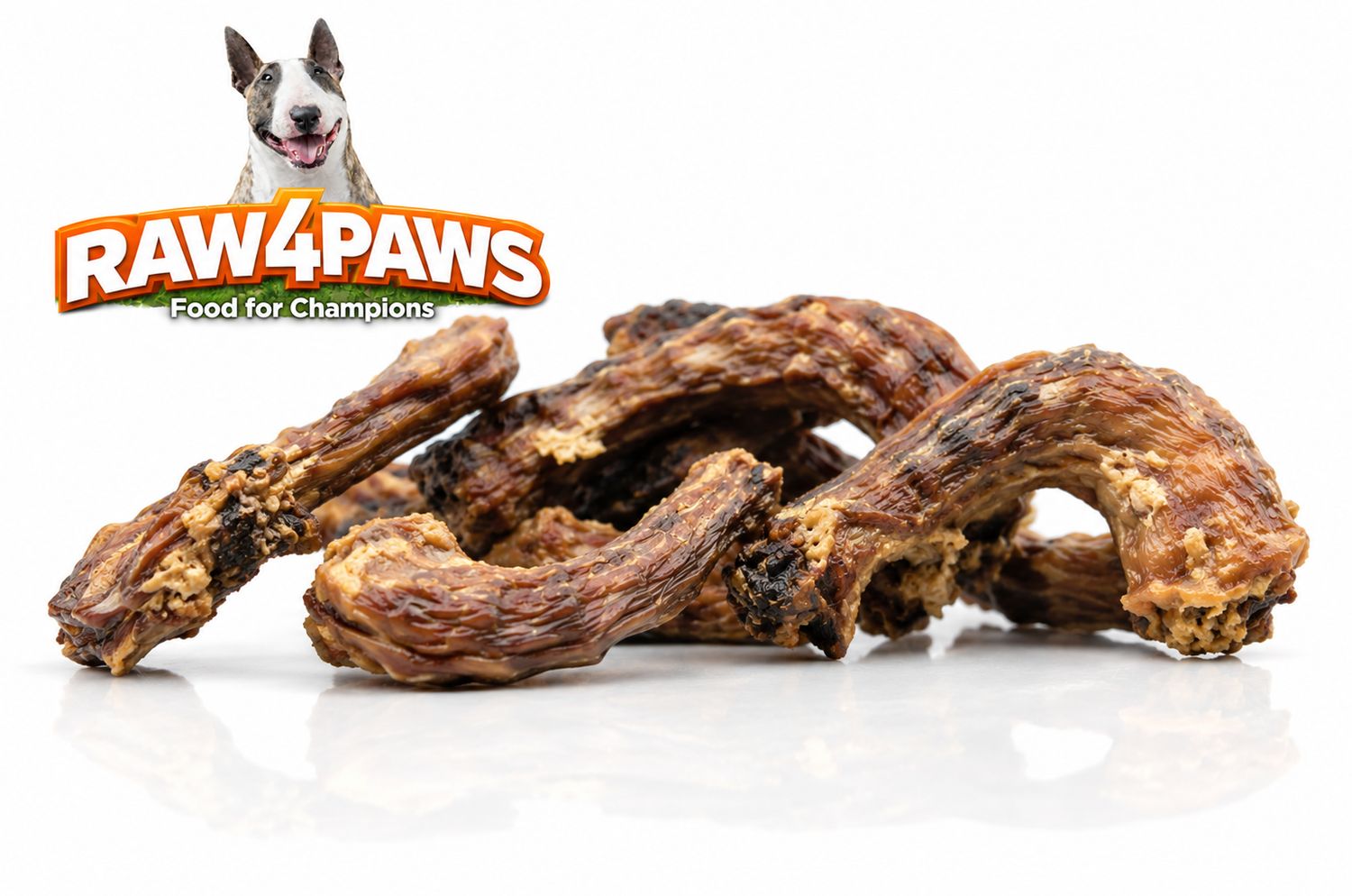RAW4PAWS KIPPENNEKKEN