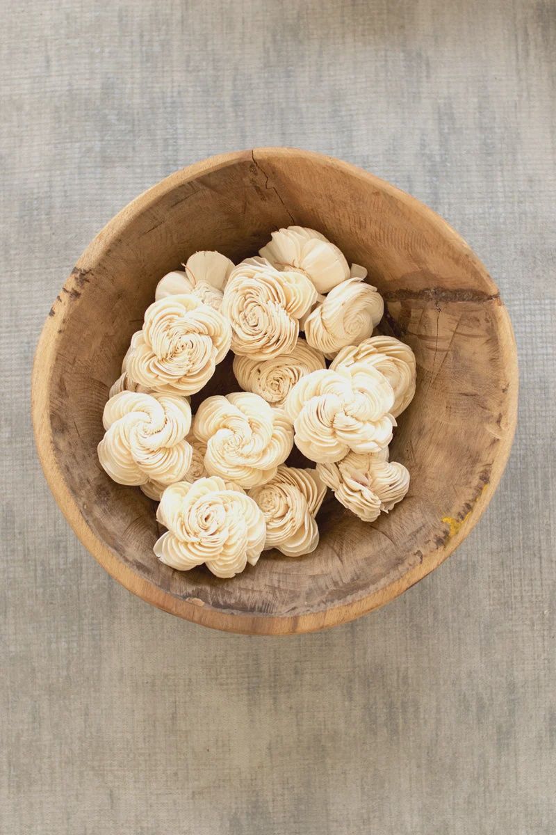 Bag of Dried Shell Flowers