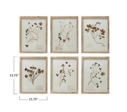 Framed Wall Art, Botanicals w/6 Styles