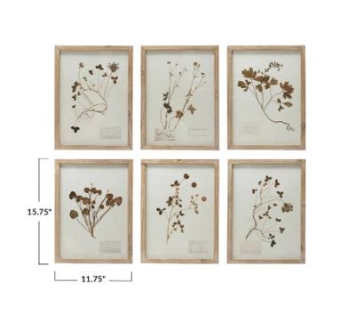 Framed Wall Art, Botanicals w/6 Styles