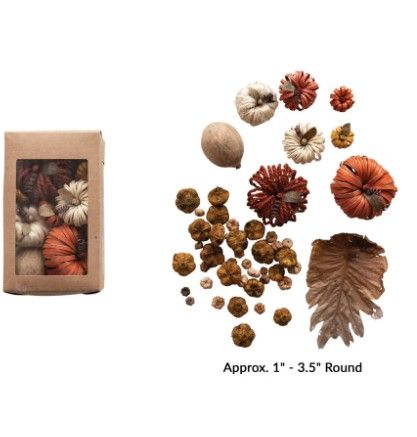 Multicolor Pumpkin Mix