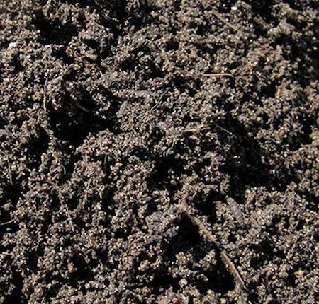 Premium Garden Blend