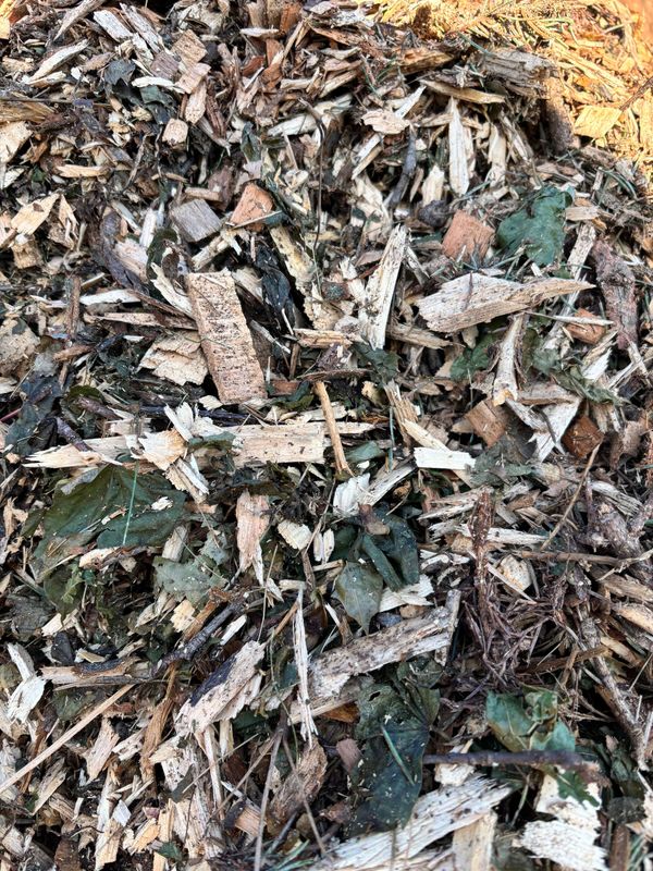 Tree Chips