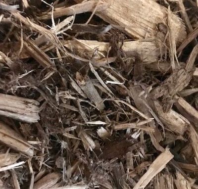 Cedar Mulch