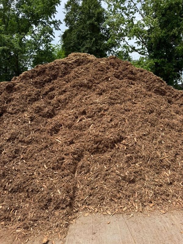 Cedar Mulch