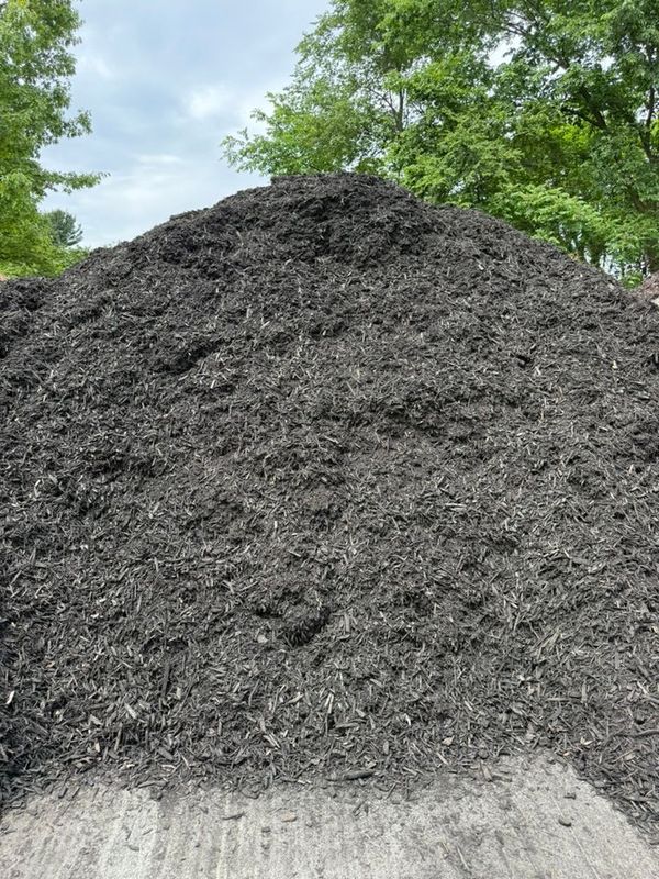 Black Mulch