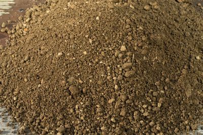 Screened Topsoil