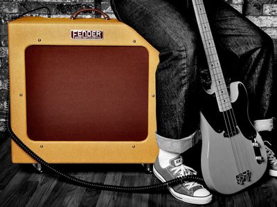 Bass Amplifiers &amp; Cabinets