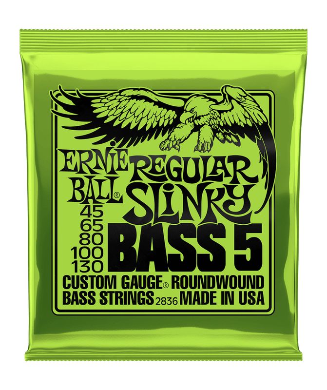 Ernie Ball Regular Slinky 5 String Bass 45-130