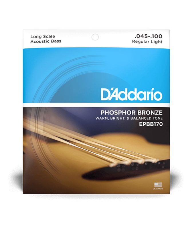 D&#39;Addario EPBB170 Acoustic Bass 45-100