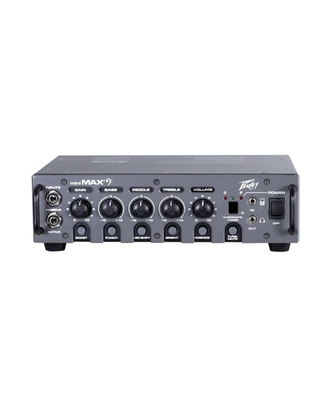 Peavey Mini Max 120US