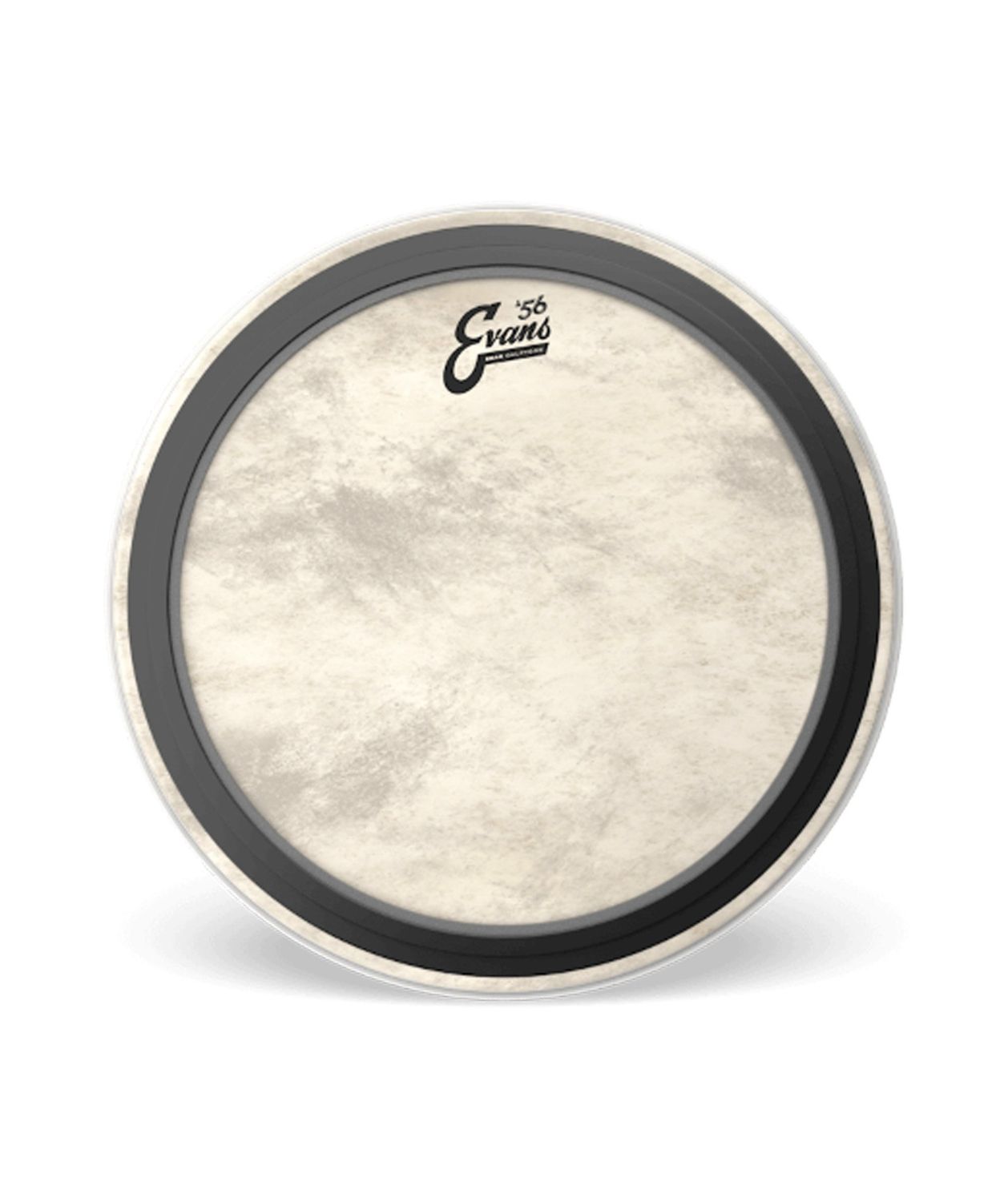 Evans 22&quot; EMAD Calftone