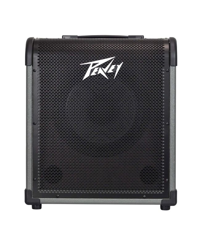 Peavey Max 100 BASS GUITAR AMPLIFIER