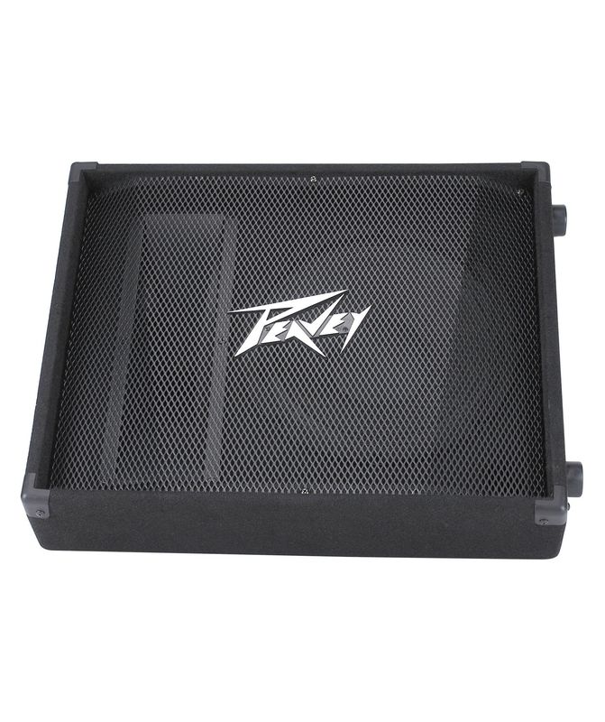 Peavey PV15M, 2-Way Floor Monitor