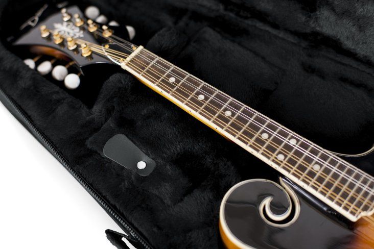 Gator GL-MANDOLIN Hard Case