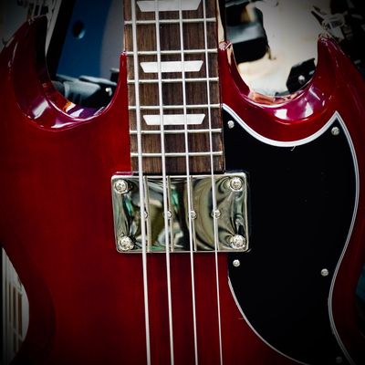Bass Guitars