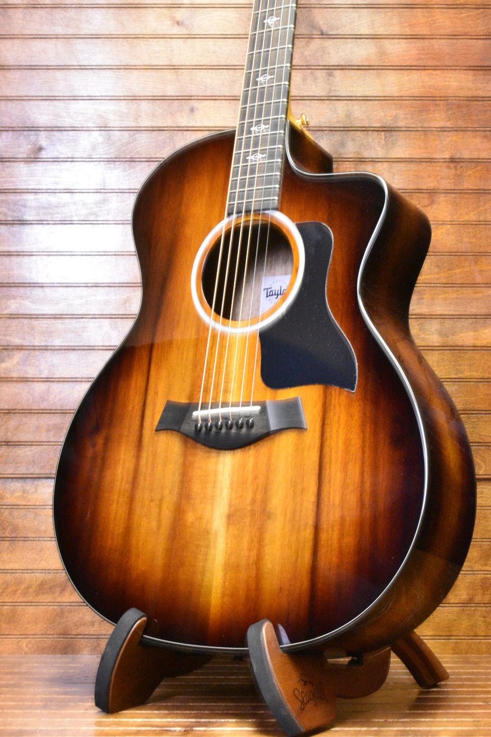 Taylor 224ce-K Deluxe, Acoustic Guitar