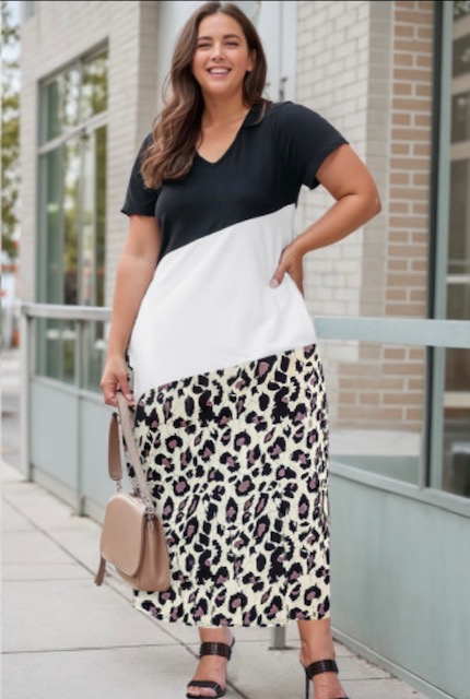 Leopard Color Block V Neck Long Dress