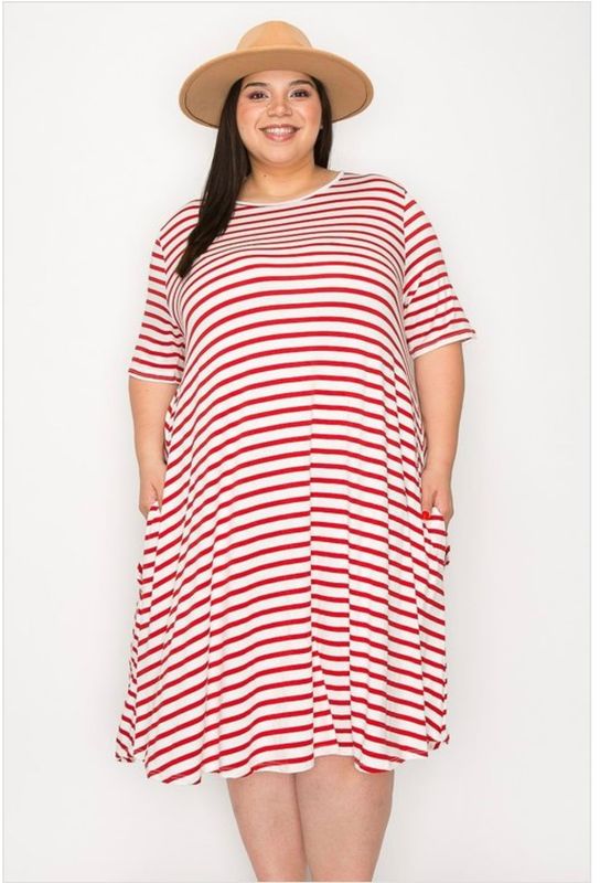 Stripe Print Dress with Pockets